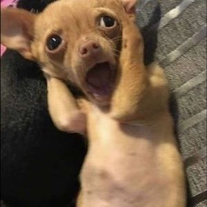 Meet your Posher, Miguel